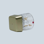 Close-up of model name XE-25 on Sylfirm X tips box for correct ordering