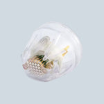Ellisys Plus 49-Pin Microneedle Tips